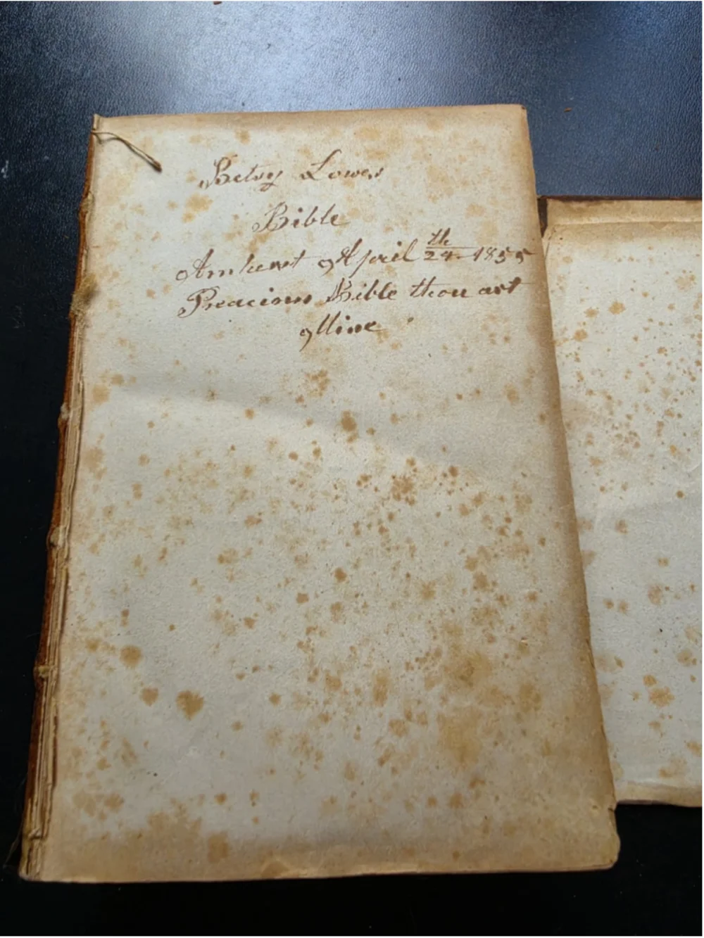 1854 Holy Bible Family Records LOWE DAMON Genealogy Pre Civil War Antique Book